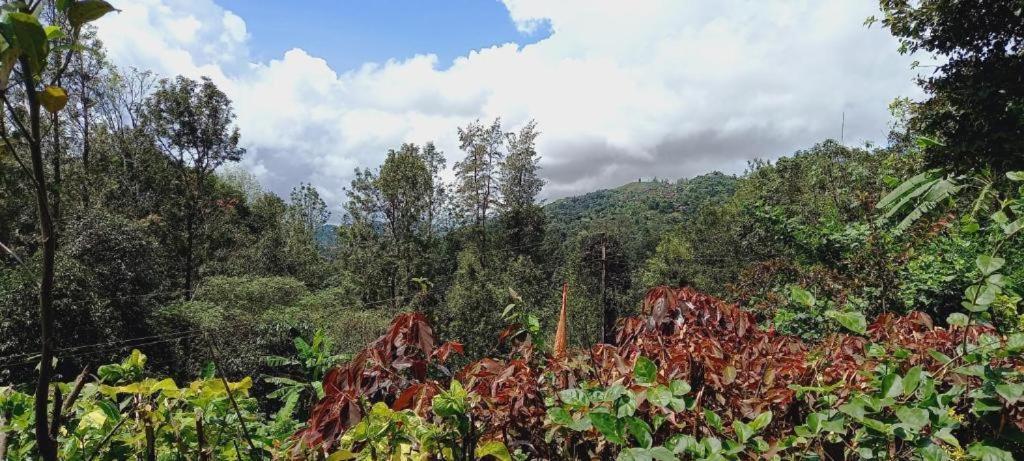 Westernghats Homestay Madikeri Exteriér fotografie